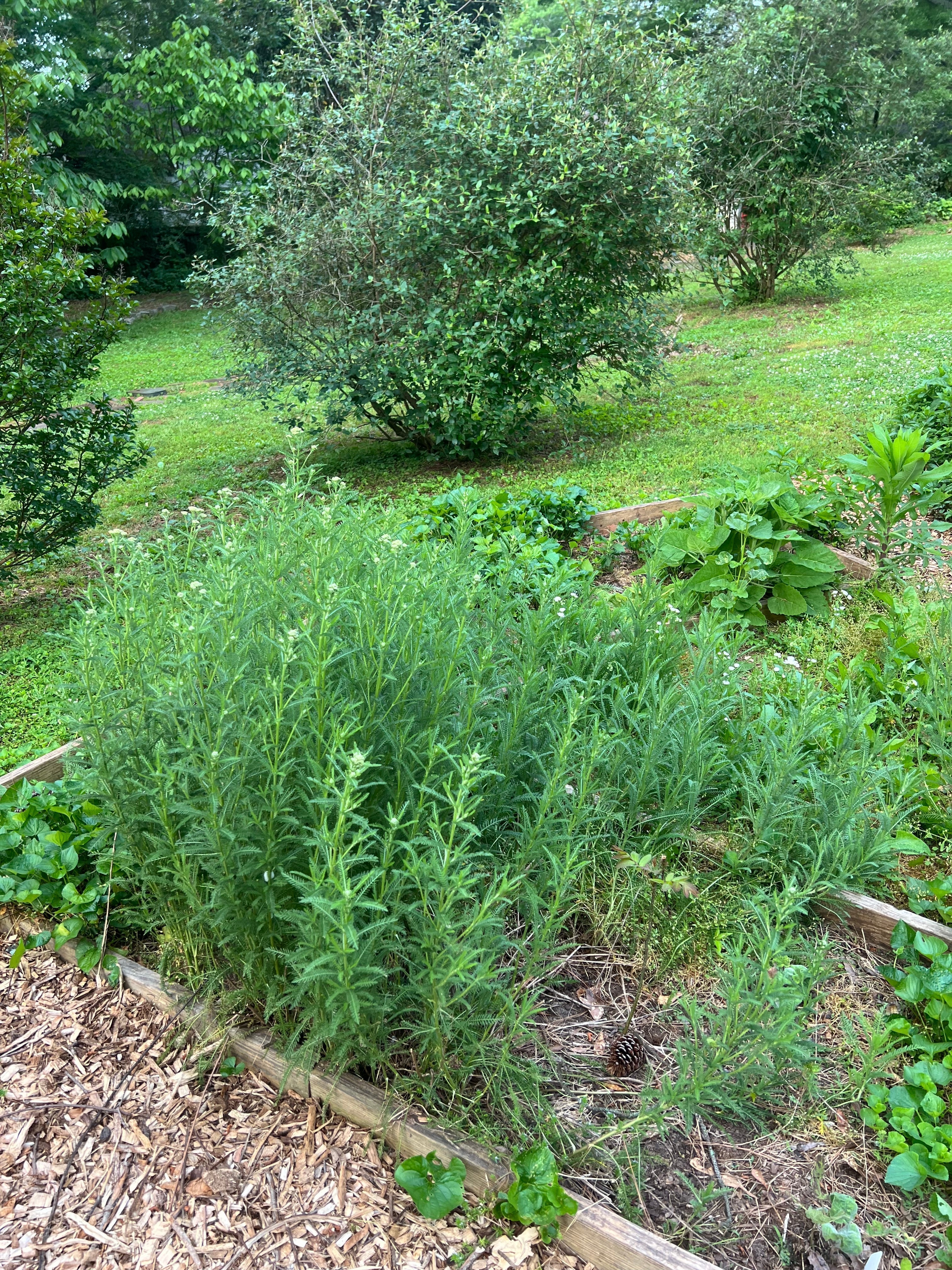 We've changed our name!