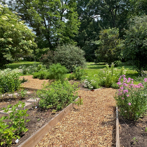 Herbal Learning Garden